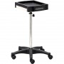 Asistent kadeřníka vozík stůl na kolečkách pro barvení T0176 do kosmetického salonu stůl na stativu - 2