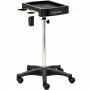 Asistent kadeřníka vozík stůl na kolečkách pro barvení T0176 do kosmetického salonu stůl na stativu - 3